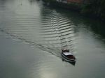 DSC00674-800.jpg